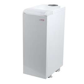 Газовый котел PROTHERM Медведь 40 KLOM, фото 