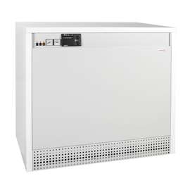 Газовый котел PROTHERM Гризли 65 KLO, фото 