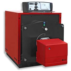 Газовый котел PROTHERM Бизон 50 NL, фото 