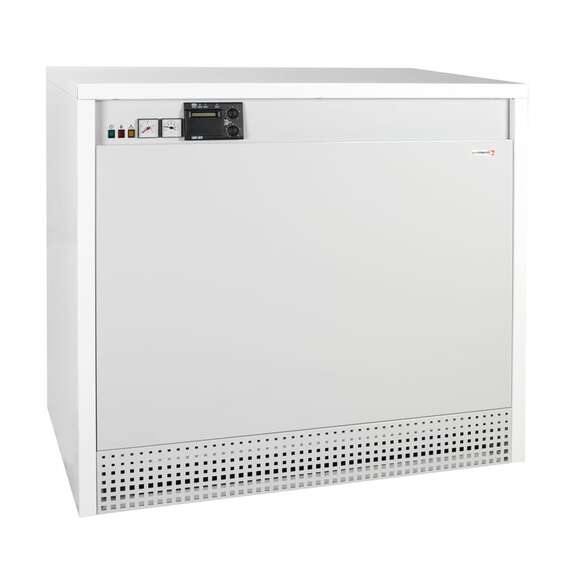 Газовый котел PROTHERM Гризли 65 KLO, фото 
