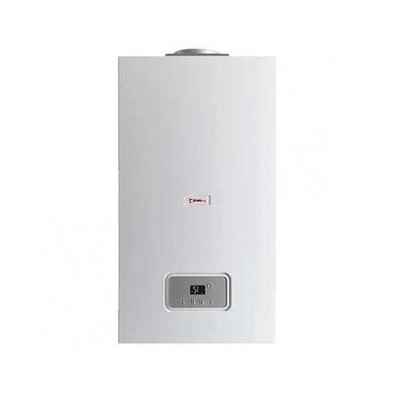 Газовый котел PROTHERM Гепард 23 MOV, фото 