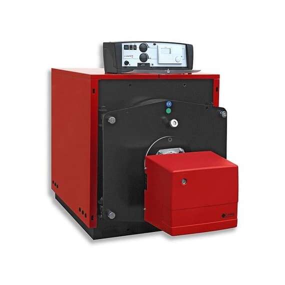 Газовый котел PROTHERM Бизон 70 NL, фото 