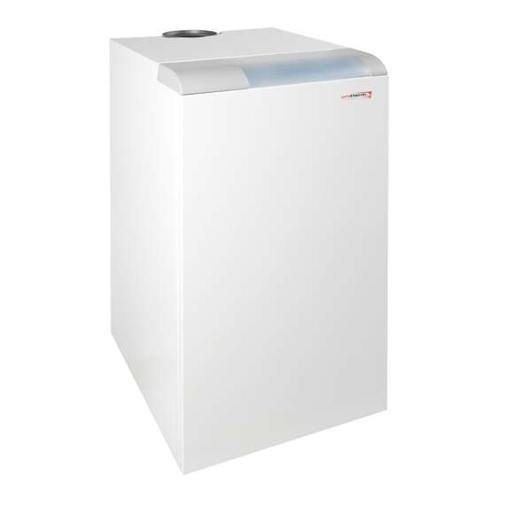 Газовый котел PROTHERM Медведь 30 PLO, фото 