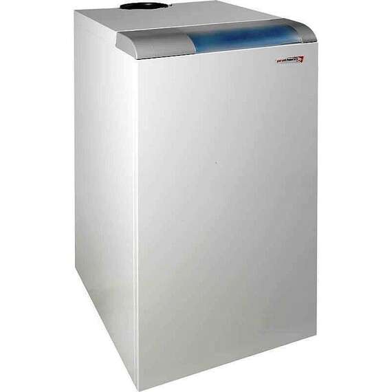 Газовый котел PROTHERM Медведь 30 TLO, фото 
