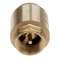 Обратный клапан с латунным золотником 1 1/4" AQUALINK, Размер: 1 1/4", фото , изображение 3